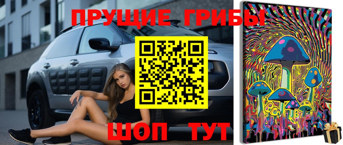 продажа наркотиков  Вход с VPN  Галлюциногенные грибы GOLDEN TEACHER  Великий Устюг  Галлюциногенные грибы Psilocybine cubensis 