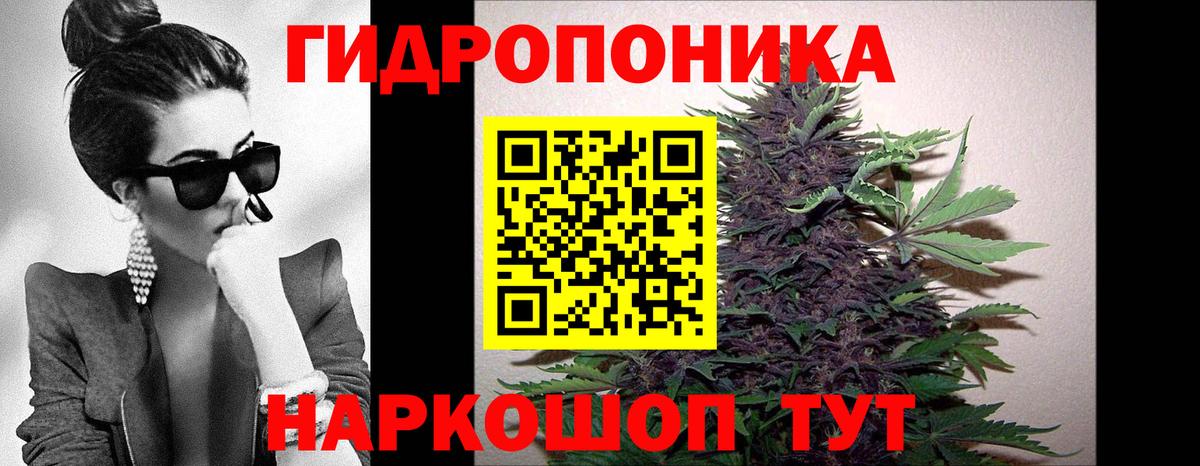 Бошки Шишки тримм  Каннабис VHQ  Великий Устюг  Вход с VPN 